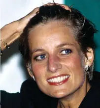  ?? ?? Slick: Nicky was credited, mistakenly, with creating Diana’s radical wet-look hairdo