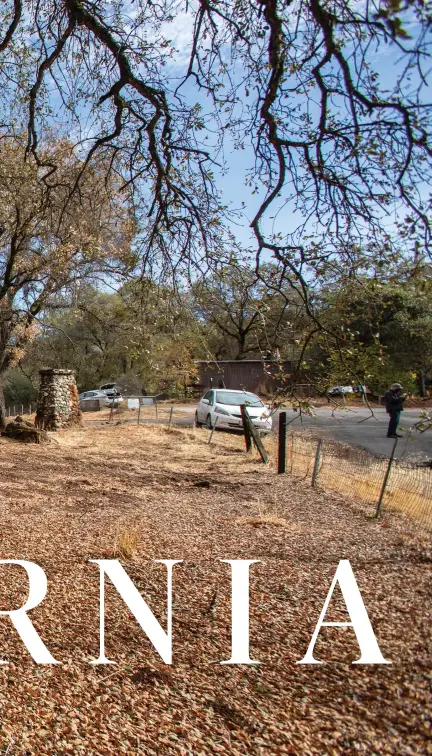  ??  ?? Nestled among the oak trees of Jackass Hill in California's Gold Country sits the century-old facsimile of Mark Twain's one-room miner's cabin in Tuolumne County.