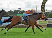  ?? RACE IMAGES ?? Prise De Fer, ridden by Craig Zackey, holds out Sinarahma, obscured, to win the Group III Eagle Technology Stakes (1600m) at Te Rapa on Saturday.