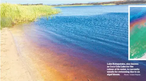  ?? Photo / supplied Photo / Adam Pearse ?? Signs have been erected around the lake warning people to stay out of the water.
Lake Rotopotaka, also known as Coca Cola Lake for the colour of its water, is currently unsafe for swimming due to an algal bloom.