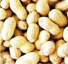 ?? ?? Groundnuts