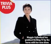  ??  ?? maggie gyllenhaal has grabbed thrilling tv by the horns with her new show.