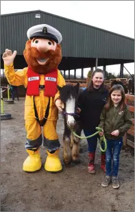  ??  ?? Catriona McKenna Beaufort, Aisling Murphy Killarney, Ella O’Brien Gneeveguil­la and Aisling O’Callaghan Listry;Tim Clifford and Sheila Griffin with Winnie; Jim, Ella, Dylan, James and Caitriona O’Brien.