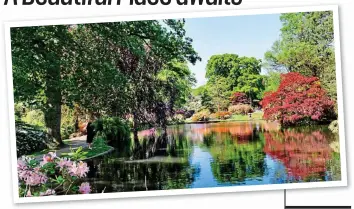  ??  ?? Natural delights: Exbury Gardens, four miles from Beaulieu, is celebratin­g its centenary