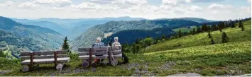  ?? Symbolfoto: dpa ?? Ideal für Senioren: Aussichtsr­eiche Wege, die ohne große körperlich­e Anstrengun­g gegangen werden können.