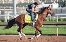  ?? CLARE GRANT/COURIER JOURNAL ?? Mystik Dan gallops around Churchill Downs on May 2. The Derby winner will run the Belmont after falling short in the Preakness.