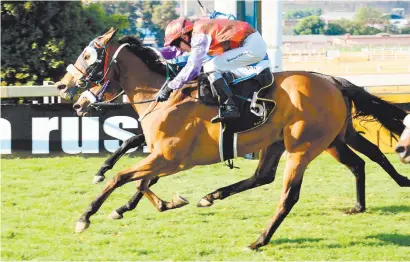  ?? Picture: JC Photograph­ics ?? GUTSY WIN. Captain Aldo (Warren Kennedy) keeps on strongly to get the better of Alyaasaat in the Grade 2 Joburg Spring Challenge over 1450m at Turffontei­n on Saturday.