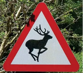  ??  ?? Signs: Deer deaths on Lapland roads total around 4,000 a year