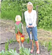  ??  ?? Green heaven reborn: Jane Corry is back in her rejuvenate­d allotment ... and has even put up a scarecrow to keep the seagulls away