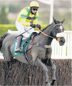  ??  ?? David Bass riding Happygoluc­ky clear the last to win the Internatio­nal Decorative Surfaces Novices’ Chase at Cheltenham