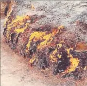  ??  ?? Yanardag, a natural fire burning since 3,000 years