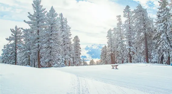  ?? Colin Lygren / Special to The Chronicle ?? Fresh snow has arrived during two weeks of late-winter storms, good for places like Tahoe’s Northstar Resort and good for Northern California reservoirs.