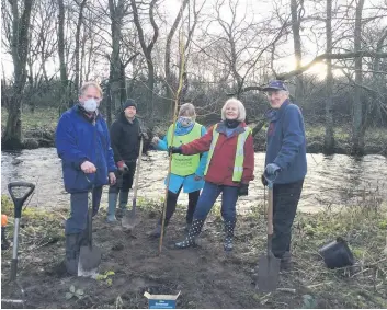  ??  ?? Digging in Crieff Community Trust volunteers join forces with SI Crieff members to plant a tree in the Strath capital’s Turretbank Wood