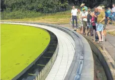  ??  ?? Vom Nachklärbe­cken fließt das Abwasser in die Donau.