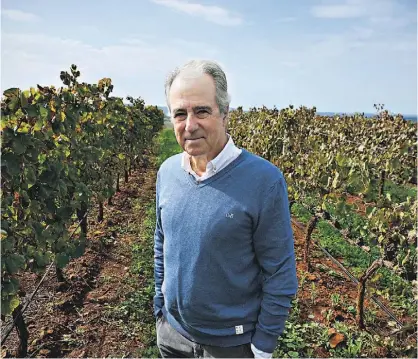  ?? FOTO: RITA CHANTRE/GLOBAL IMAGENS ?? João Portugal Ramos numa das mais emblemátic­as vinhas da região, em Estremoz.