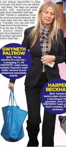  ??  ?? GWYNETH PALTROW BAG: The big sky-blue St Louis tote – a whopping £1,140 CONTENTS: Looks heavy, probably Gwynnie’s water bottle, coconut oil and wholesome macrobioti­c snacks.