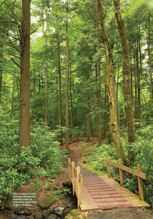  ??  ?? Hike 3 miles of trails through old-growth hemlock trees in Cathedral State Park in West Virginia.