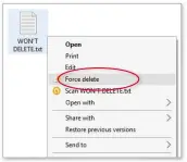  ??  ?? Wise Force Deleter adds a ‘Force delete’ option to your right-click menu for removing stubborn files from your PC