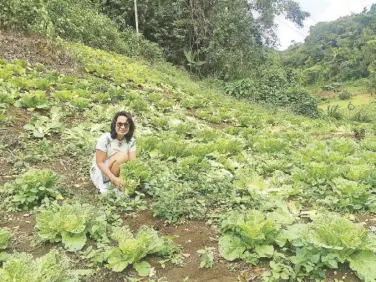  ??  ?? Joy harvesting cabbage in an organic farm in Dalaguete, Cebu (right). She made a revitaliza­tion study of the waterfront district in Cebu; here she stands with the Compania Maritima building in the background (below). Joy with her staff at the Loboc...