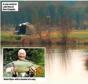  ??  ?? A carp social on Lake Amy at New Claygate. Robin Piper with a stunner of a carp.