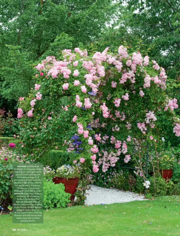  ??  ?? THIS PAGE A whimsical archway of soft pink roses, which grow throughout the season until each bloom resembles a bunch of scrunched tissue, says Viv; the fairy tale scene reflects the gardener’s character: “That’s me. I’m always flitting around like a pixie.”