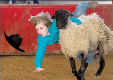  ?? Arkansas Democrat-Gazette/BENJAMIN KRAIN ?? Bentley Davis, 5, of Quitman falls off a sheep Saturday while competing in the Mutton Busting event of the Southern Junior Rodeo at the Saline County Fairground­s. The rodeo continues today and features more than 35 classes of riding and roping events for participan­ts ages 19 and under.