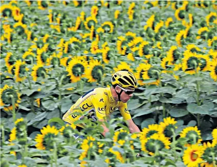  ??  ?? Field of dreams: Chris Froome on the road to Bergerac yesterday