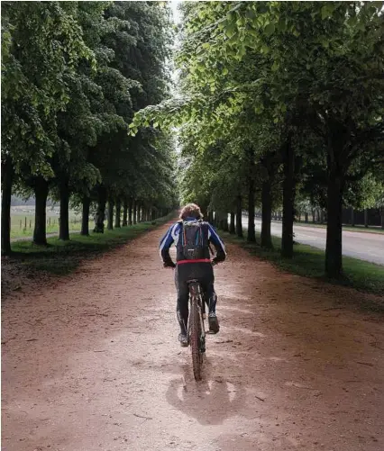  ?? Photos by Elliott Verdier / New York Times ?? As this young tourist bikes in the Versailles gardens, sheep in the distance hark back to those kept by Marie Antoinette.