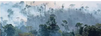  ?? FOTO: DPA ?? Brasilien, Altamira: Rauch steigt aus dem Regenwald im Amazonasge­biet auf. In Südamerika wüten derzeit schwere Waldbrände. Vor allem Brasilien, Venezuela, Bolivien und Kolumbien sind von den Feuern betroffen.