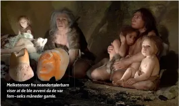  ??  ?? Melketenne­r fra neandertal­erbarn viser at de ble avvent da de var fem–seks måneder gamle.