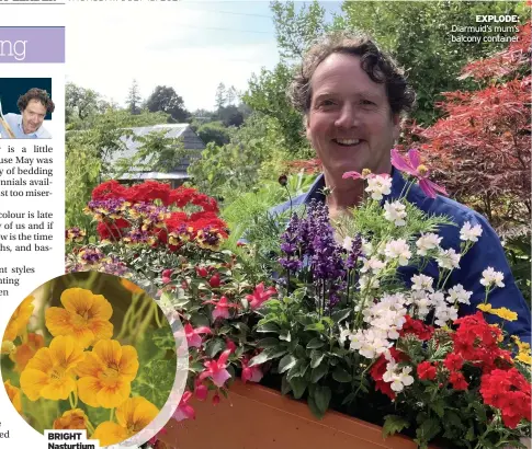  ??  ?? BRIGHT Nasturtium
EXPLODE: Diarmuid’s mum’s balcony container