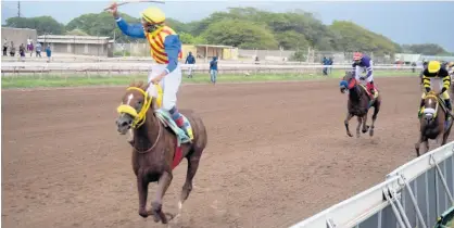  ?? FILE ?? BLUE VINYL, ridden by Raddesh Roman, wins the Jamaica St Leger at Caymanas Park on Saturday, July 2.