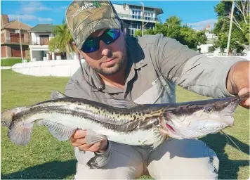  ??  ?? Pico pato, especie muy cazadora que puede pescarse bien pegadito a la costa. Arriba derecha: vieja del agua que no aguantó la invasión de su sector y atacó el señuelo. Der.: doblete de grandes chafas.