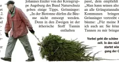  ?? Foto: Bernhard Weizenegge­r ?? Vorbei geht die schöne Weihnachts­zeit. In den nächsten Tagen startet wieder die Entsorgung der Christbäum­e.