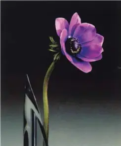  ??  ?? Anemone, 1989