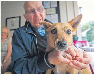  ??  ?? 92-year-old Jim Reilly with his pal Stella