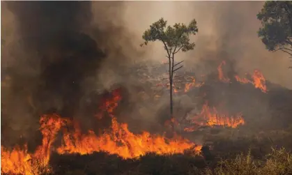  ?? ?? A wildfire engulfing a hillside in Rhodes, Greece, on 27 July. Photograph: Dan Kitwood/Getty Images