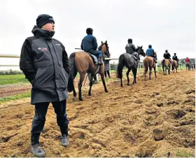  ??  ?? Storm: Gordon Elliott supervises a ride-out at Cullentra House but faces an IHRB hearing today