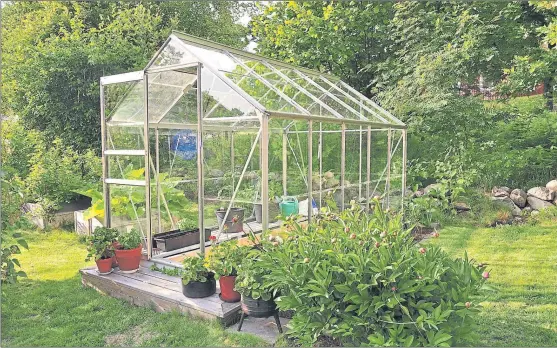  ?? PHOTOGRAPH: SHUTTERSTO­CK ?? Clean the glass inside and out to ensure the maximum amount of light reaches whatever plants you grow in the greenhouse