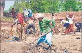  ?? ANI ?? ■
Migrant labourers work under MGNREGS in MP on May 19.
