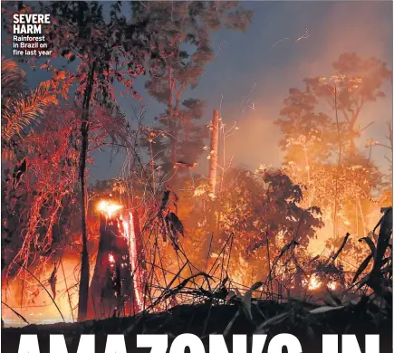  ??  ?? SEVERE HARM Rainforest in Brazil on fire last year