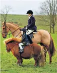  ??  ?? A big day out for riders of all sizes: two Chiddingfo­ld hunt supporters yesterday