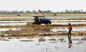  ??  ?? Timely aid: Najib announced that RM200 would be given to all padi farmers nationwide for a period of three months while they wait for the harvest.