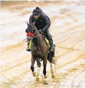  ?? CHARLIE RIEDEL AP ?? Hot Rod Charlie, third in the Kentucky Derby, will be one of the betting favorites in the Belmont.