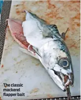  ??  ?? The classic mackerel flapper bait