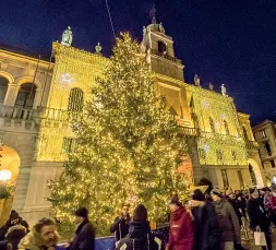  ??  ?? Il grande albero a Palazzo Moroni Il simbolo delle feste in città