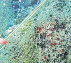  ??  ?? NET RESULT: Discarded fishing nets caught in coral reefs are among items divers helped remove from diving spots near the scenic islands off Chumphon and Ranong.