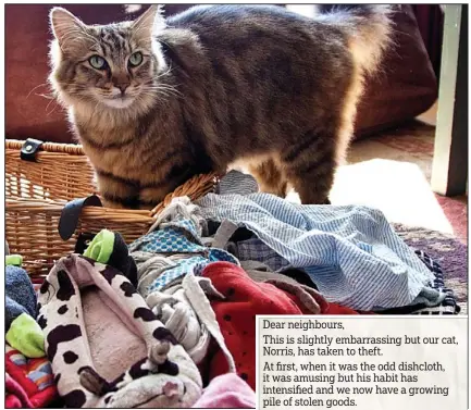 ??  ?? Dear neighbours, This is slightly embarrassi­ng but our cat, Norris, has taken to theft. At first, when it was the odd dishcloth, it was amusing but his habit has intensifie­d and we now have a growing pile of stolen goods. If you’ve ‘misplaced’ anything...