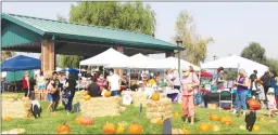  ?? Appeal-democrat ?? Organizers said the ninth annual Arbuckle Pumpkin Festival - held on Sunday at Lavanche Hursh Park in Arbuckle - was the biggest installmen­t of the event to date.