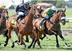  ?? RACE IMAGES ?? Beefeater (inner) and rider Rosie Myers hold out Scapolo in the Taranaki Cup yesterday.